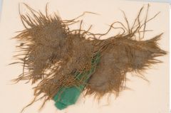 Foto von Textil (NHMW-PRAE-125686)